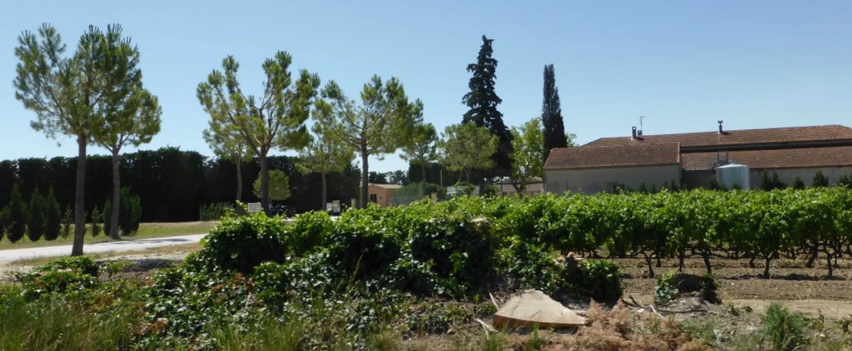 Domaine des Favards