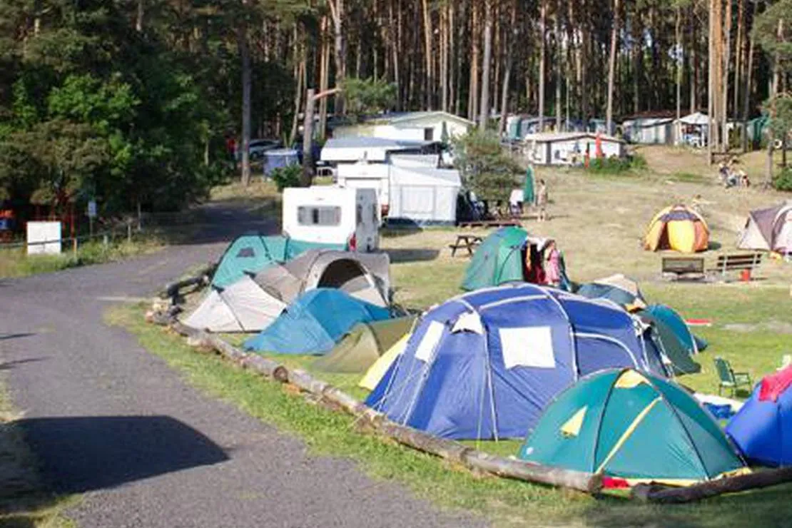 naturcamp-ev-roddelin-roddelin-egfdl