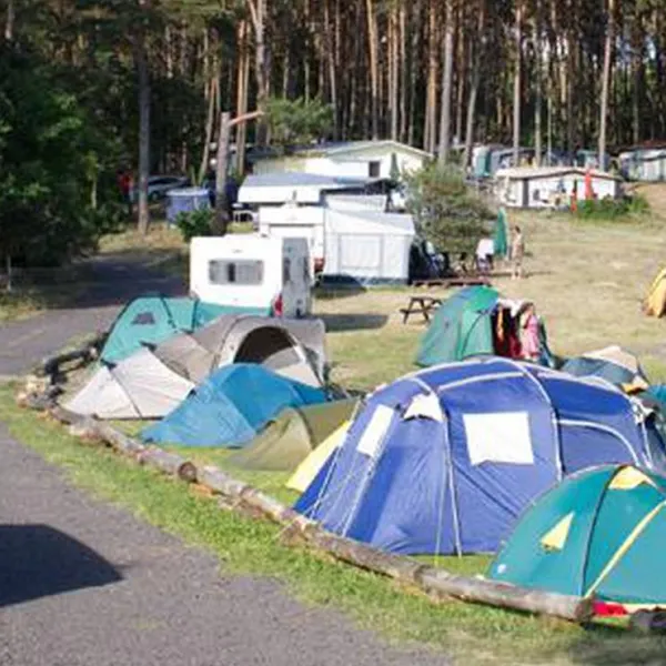naturcamp-ev-roddelin-roddelin-egfdl