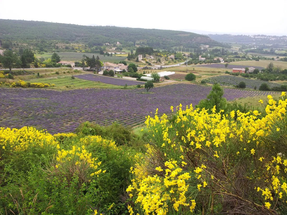 domaine-naturiste-de-belezy-bedoin-uykgj