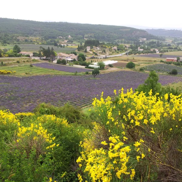 domaine-naturiste-de-belezy-bedoin-uykgj