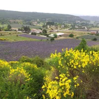 domaine-naturiste-de-belezy-bedoin-uykgj