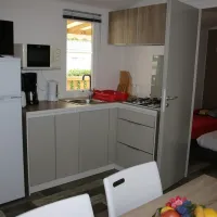 darvor-ambon-2ox9h