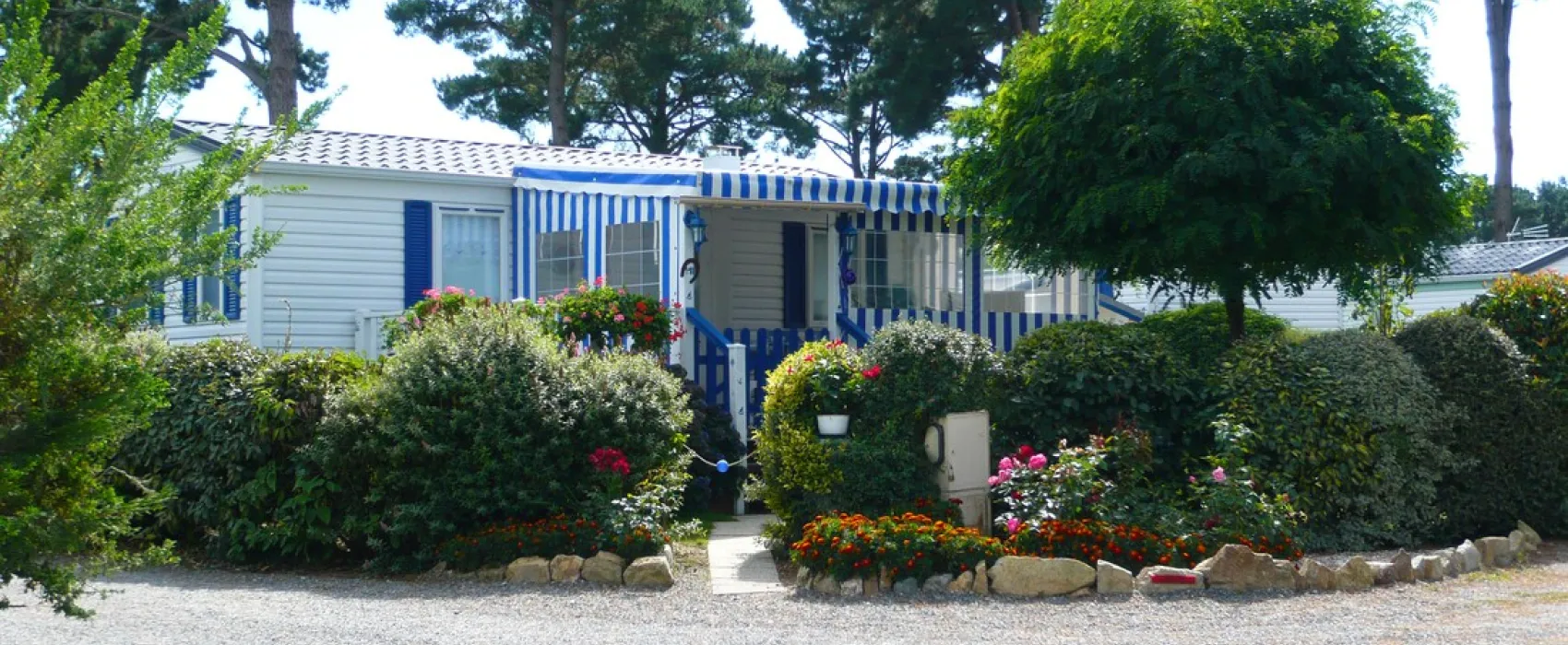 D'Arvor