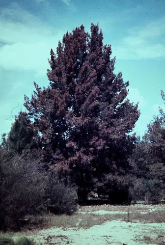 the-junction-abercrombie-river-campground-rr58w