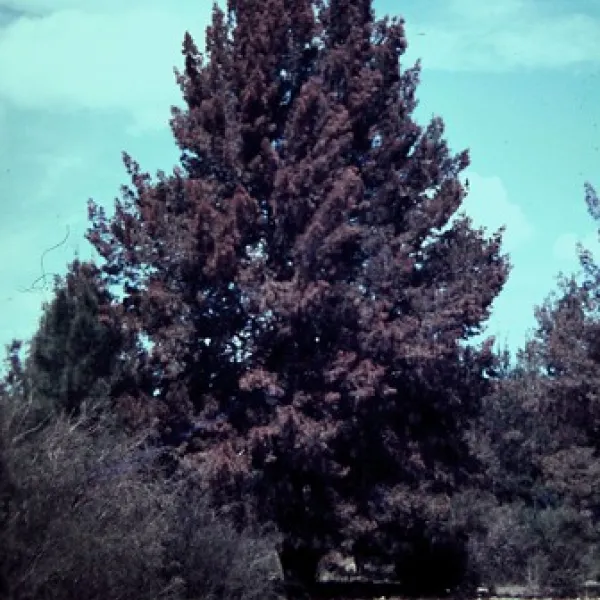 the-junction-abercrombie-river-campground-rr58w