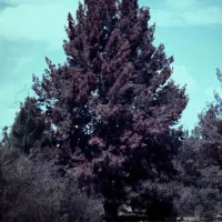 the-junction-abercrombie-river-campground-rr58w