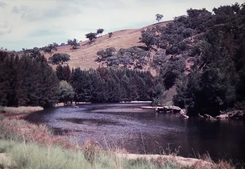 the-junction-abercrombie-river-campground-uztxg