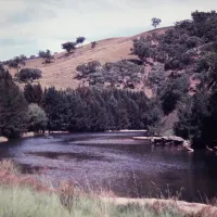 The Junction (Abercrombie River) Campground