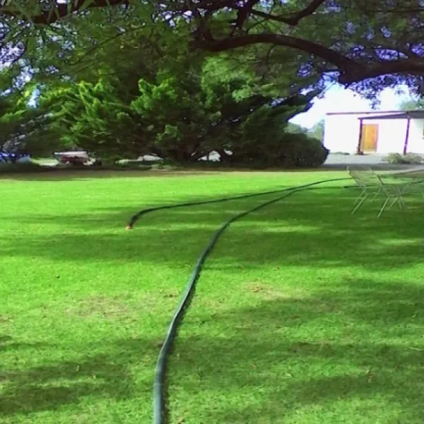 Joalani Guest Farm