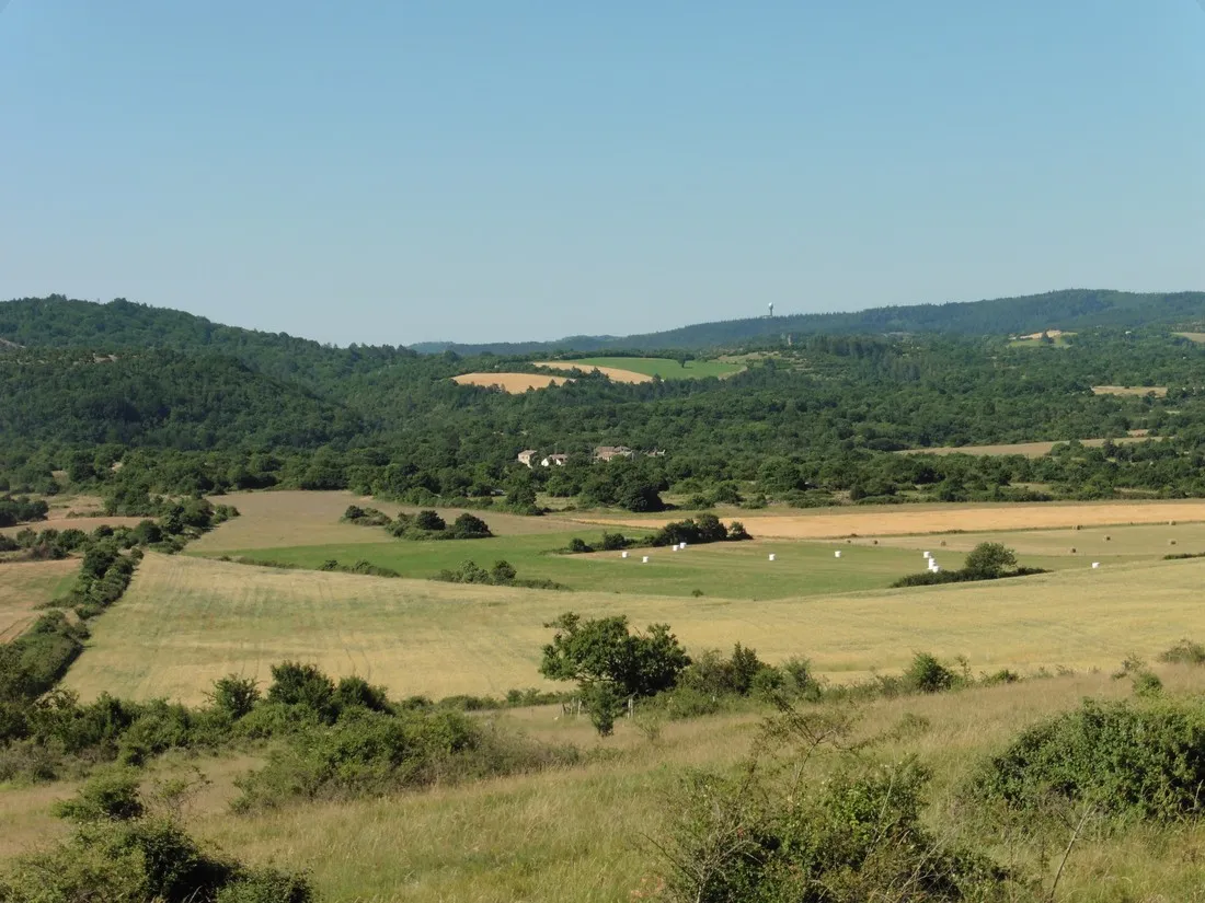 mas-de-messier-st-felix-de-lheras-3mvcz