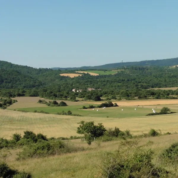 mas-de-messier-st-felix-de-lheras-3mvcz