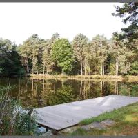 FKK Campingplatz des BfFnL Bremen e.V.
