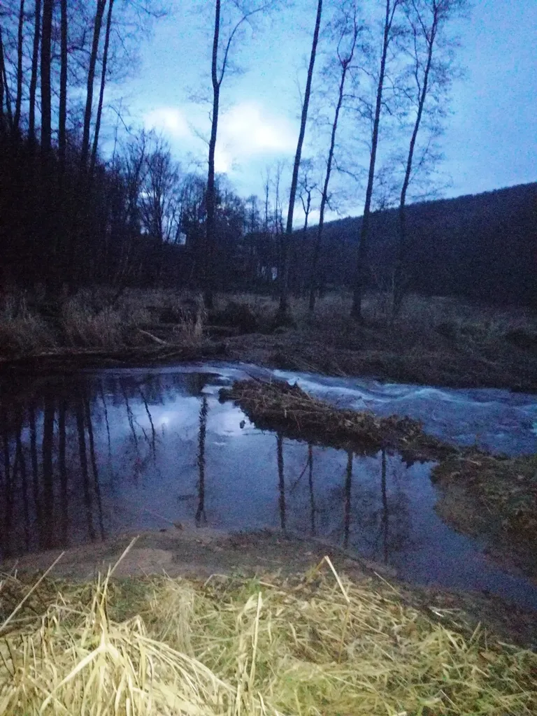 stellplatz-rhoner-auersberg-wildflecken-f4i0u