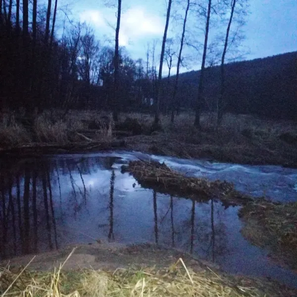stellplatz-rhoner-auersberg-wildflecken-f4i0u