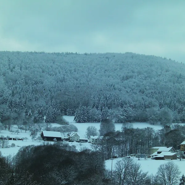 stellplatz-rhoner-auersberg-wildflecken-juaxu