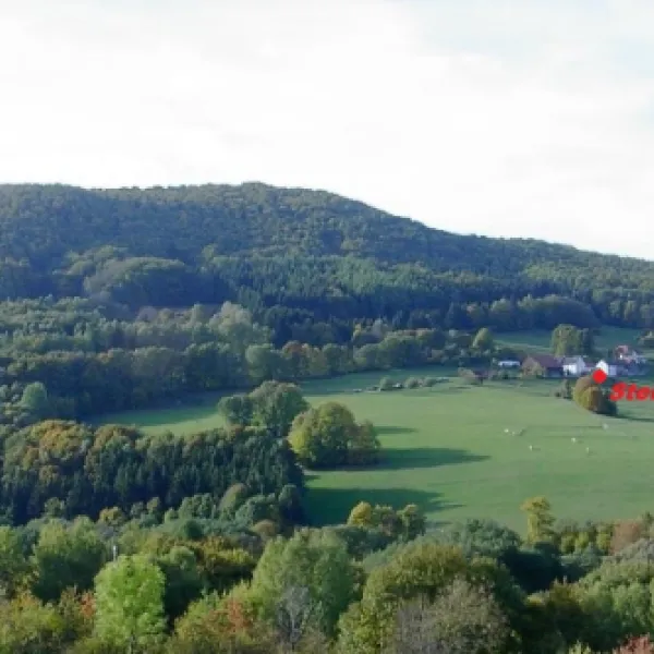 stellplatz-rhoner-auersberg-wildflecken-zr4au