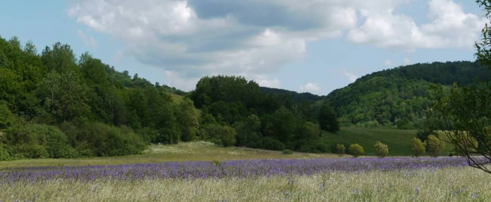 Autocamping Snina