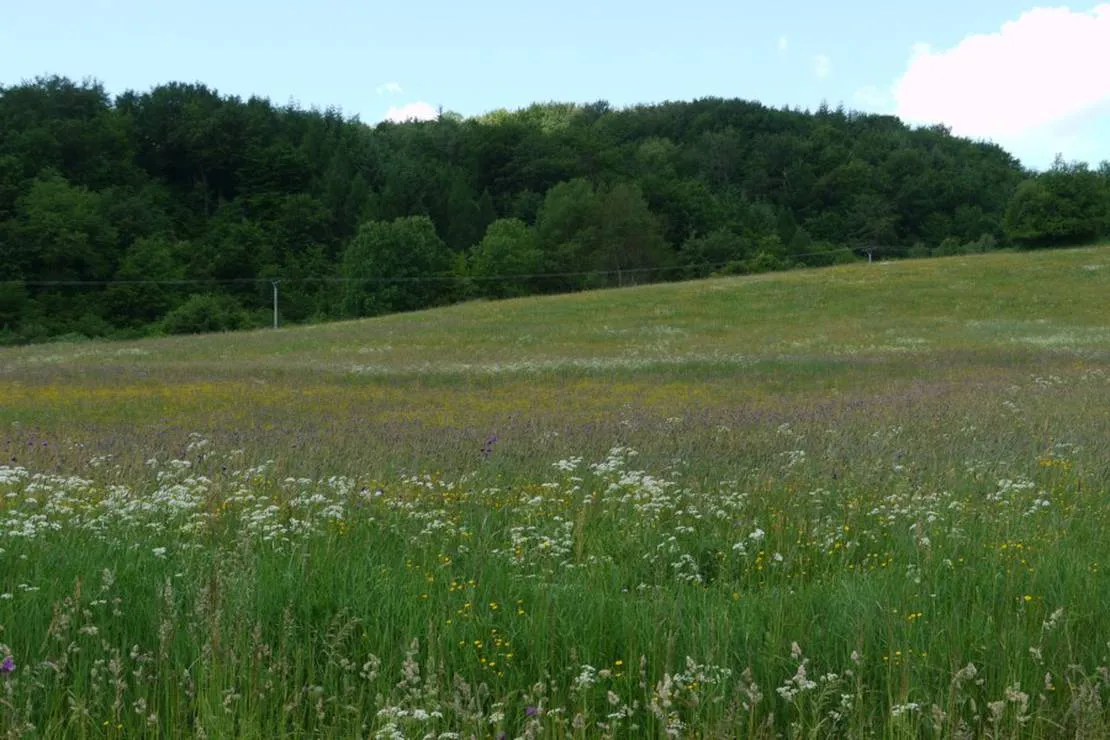 autocamping-snina-snina-oladm