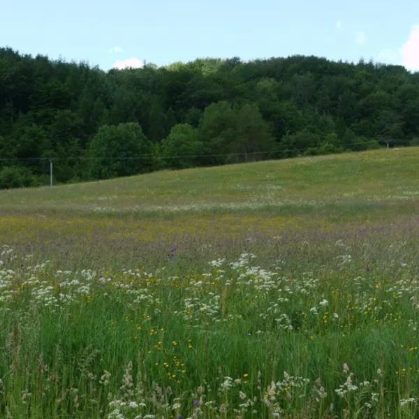 autocamping-snina-snina-oladm