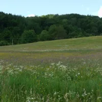 autocamping-snina-snina-oladm