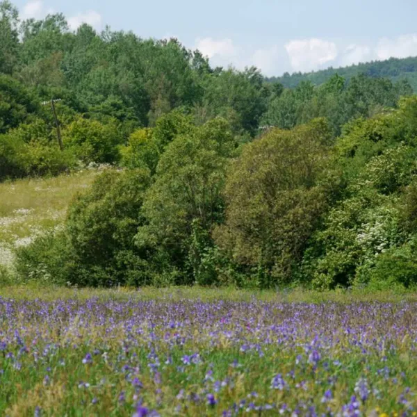 autocamping-snina-snina-smltg