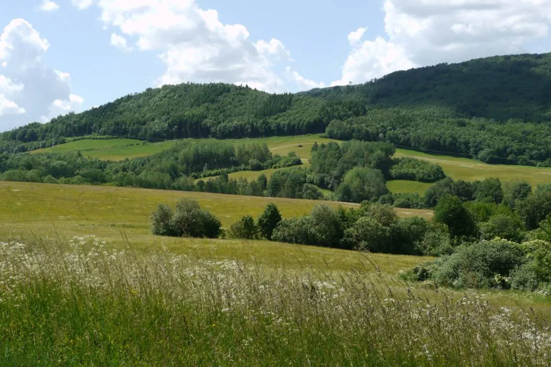 autocamping-snina-snina-wrhiu