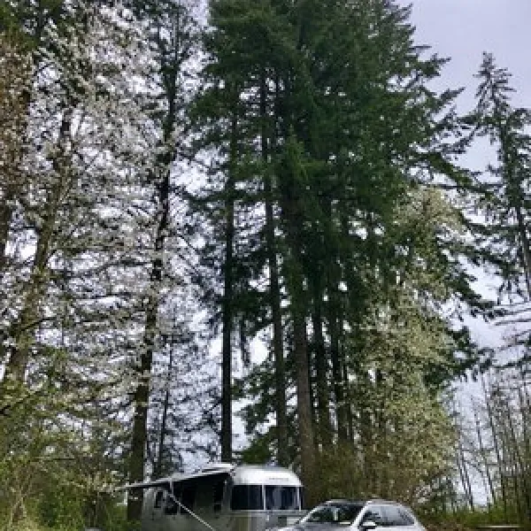 chehalis-rv-camping-resort-chehalis-9bs5i