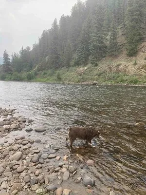 cottonwood-cove-guest-ranch-creede-z8qct