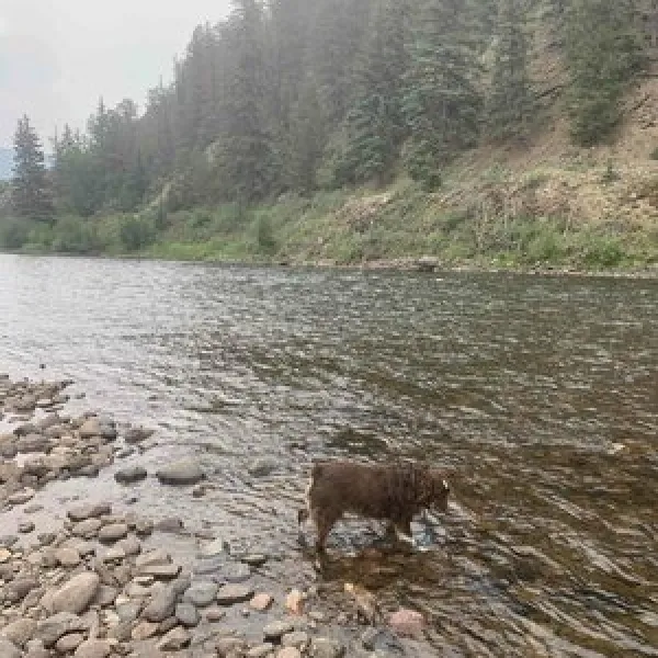 cottonwood-cove-guest-ranch-creede-z8qct