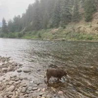 cottonwood-cove-guest-ranch-creede-z8qct