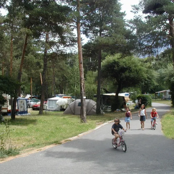 saint-james-les-pins-guillestre-pyn8v