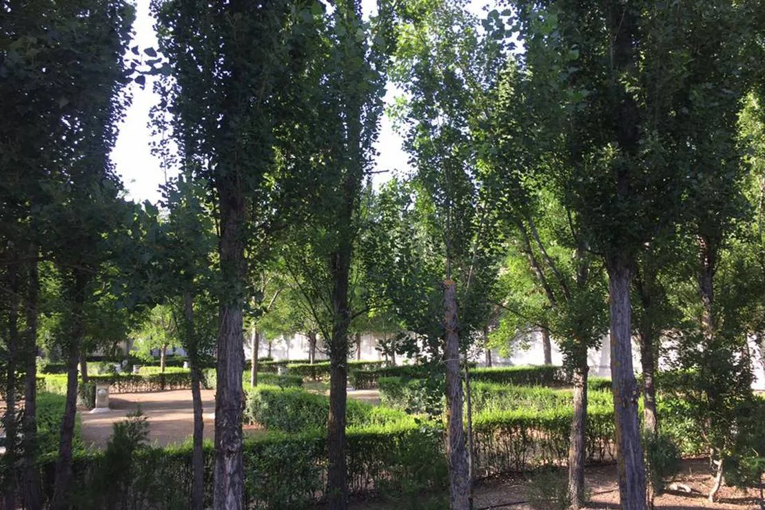 camping-las-veredas-valdepenas-de-jaen-scpx4