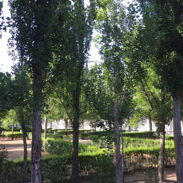camping-las-veredas-valdepenas-de-jaen-scpx4