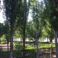 Camping Las Veredas