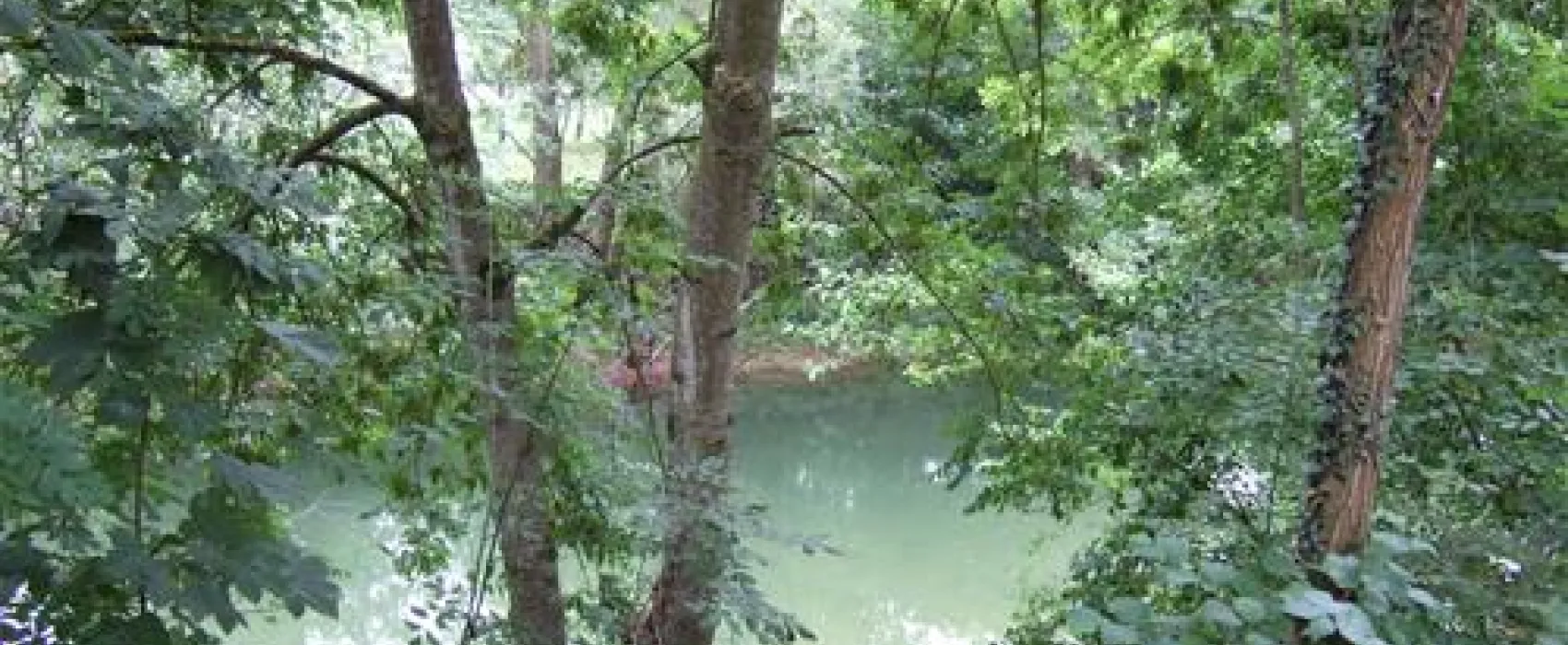 Camping Le Colombier