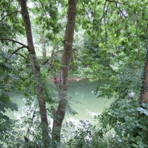 camping-le-colombier-dienville-4lnss