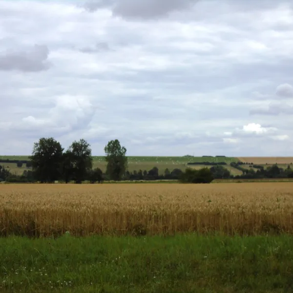 camping-la-samaritaine-buzancy-zjdff