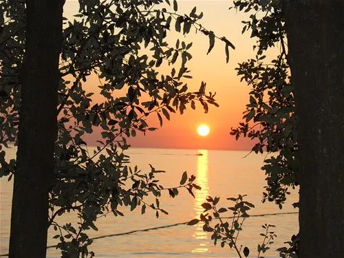 naturist-park-koversada-vrsar-7br9q
