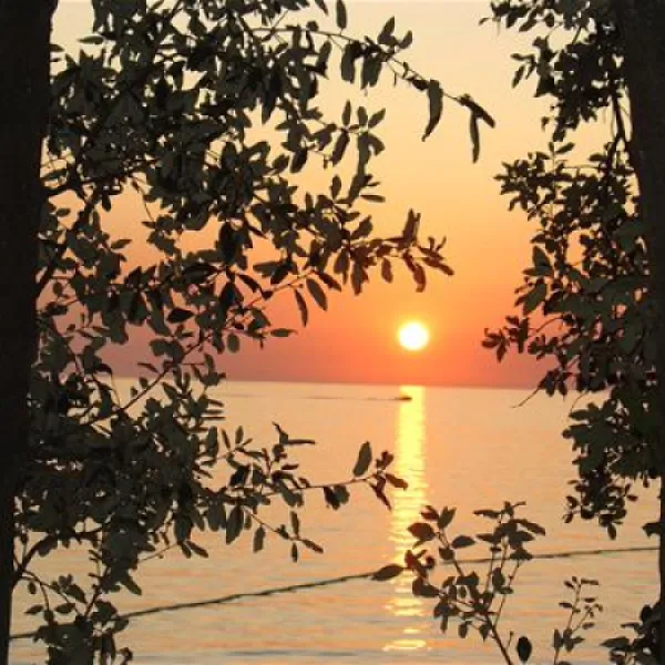 naturist-park-koversada-vrsar-7br9q