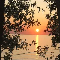 naturist-park-koversada-vrsar-7br9q