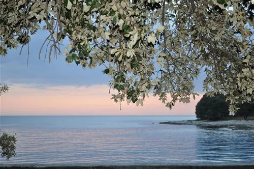 naturist-park-koversada-vrsar-rqxla