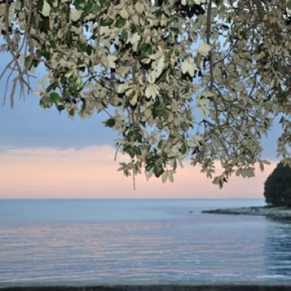 naturist-park-koversada-vrsar-rqxla