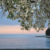 naturist-park-koversada-vrsar-rqxla