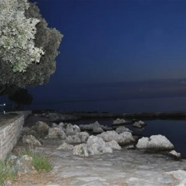 naturist-park-koversada-vrsar-zixo1