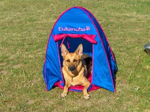 sinebjerg-camping-faaborg-ztmqp