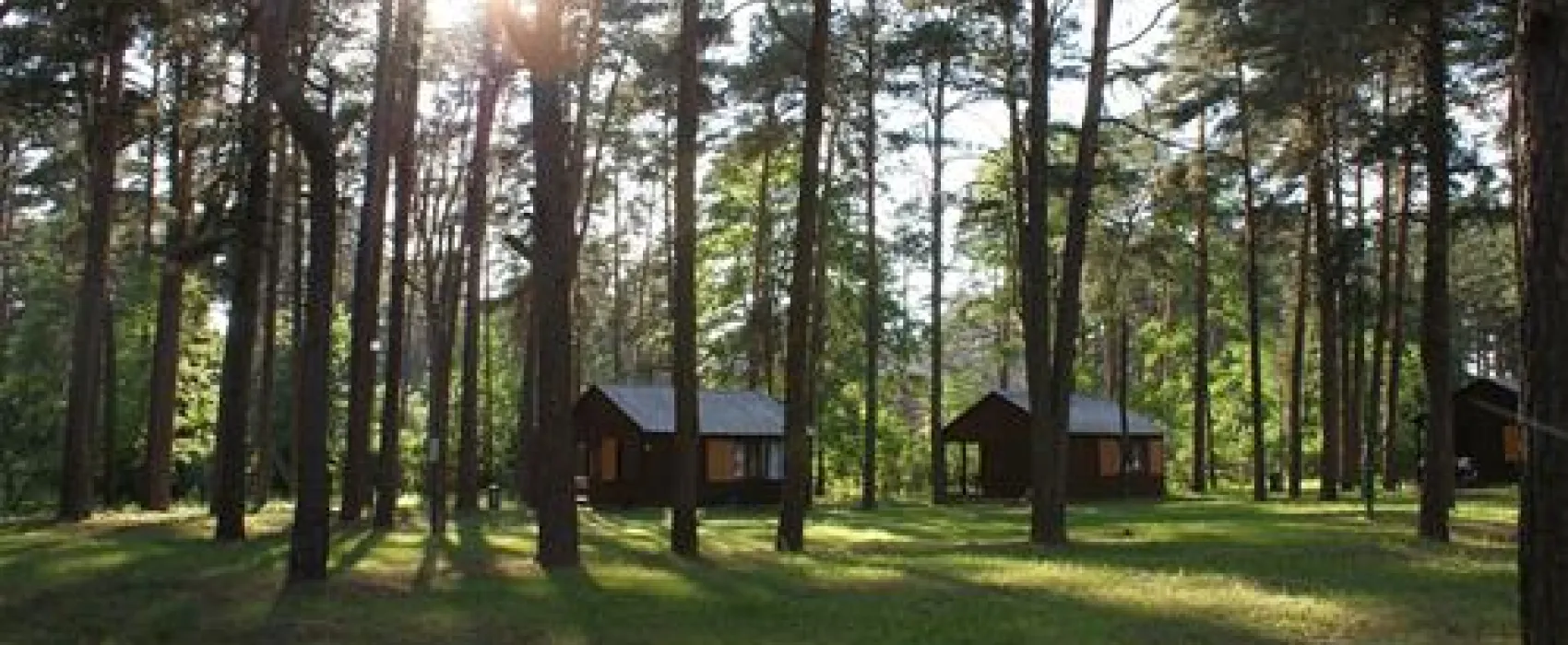 Camping Marina Borki