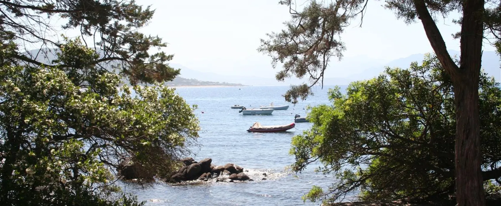 Camping Alfonsi