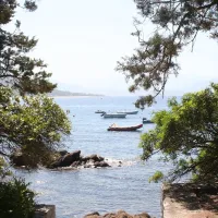 Camping Alfonsi