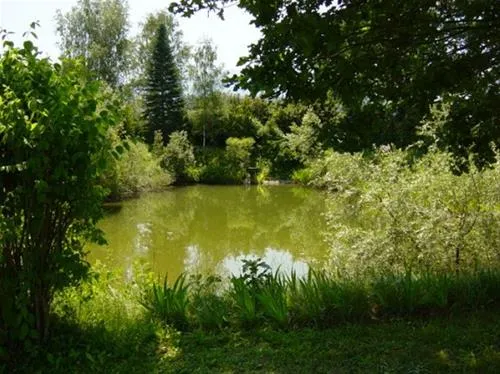 camping-murinsel-grolobming-eqqgn